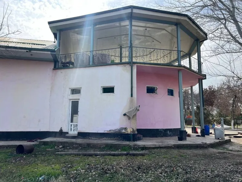 Kafe Alisher navoiy Parki Amfiteater yonida — фото 1