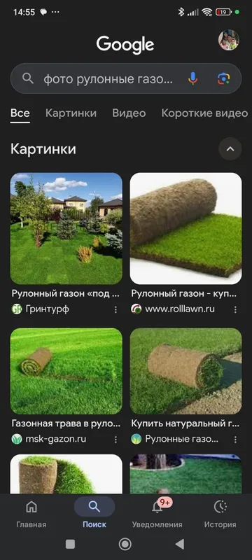 Рулонные газоны качественно — фото 1