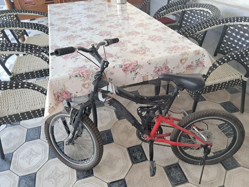 velosapet