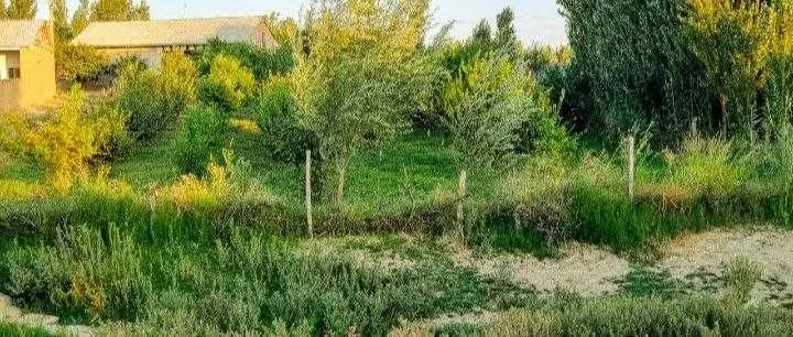 10 сот. Тошкент вил. Янгийўл туман Бозсу ҚФЙ., Янгиобод махалла 26-уй — фото 3