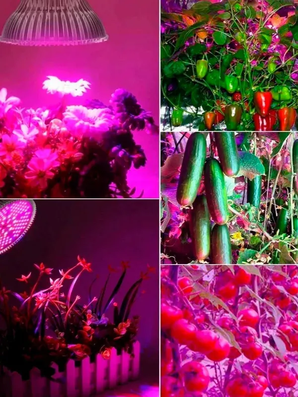 Фитолампа полного спектра 78LED 50Вт Red+Blue+White+UV+IR — фото 6