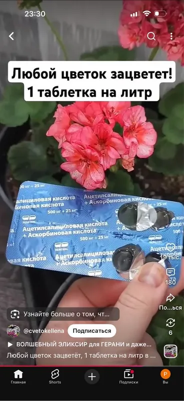 донфенг гибрид яхши холатда бирон айбиёк 4