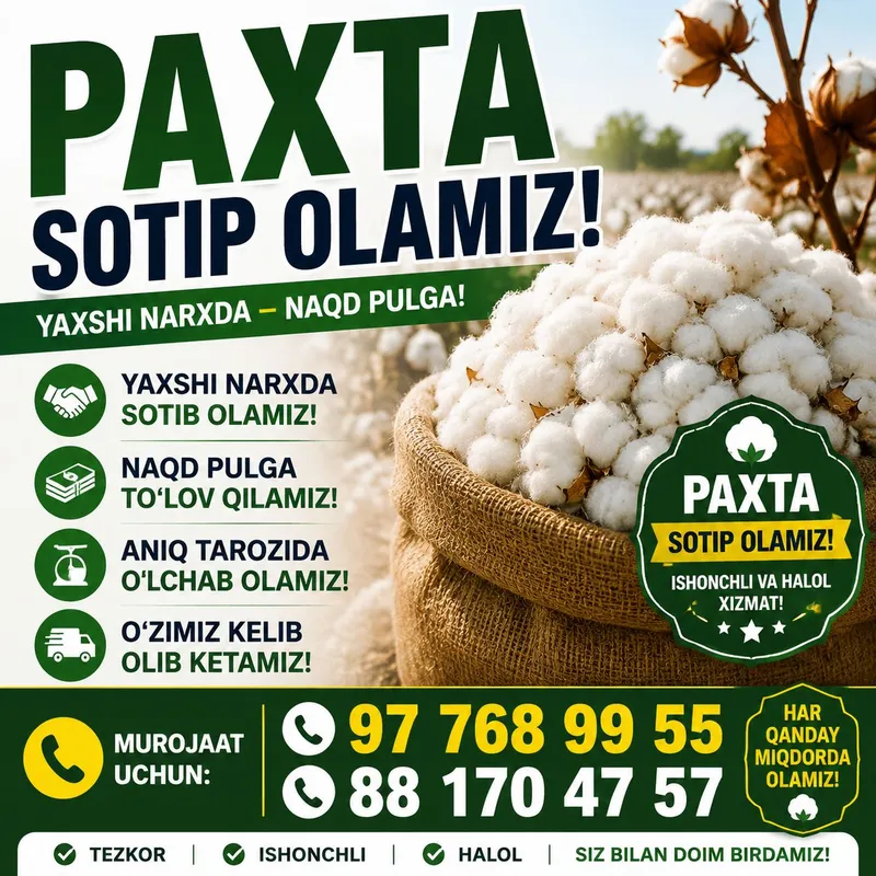 paxta paxta