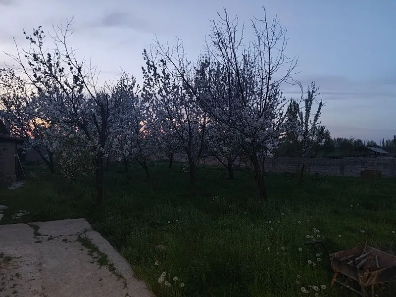 Assalomu alaykum hurmatli xaridorlar uy sotiladi arintir uchqaramondan 5 Assalomu alaykum hurmatli xaridorlar uy sotiladi arintir uchqaramondan 5