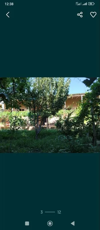 Ховли Сотилади, Срочно Кармана — фото 1