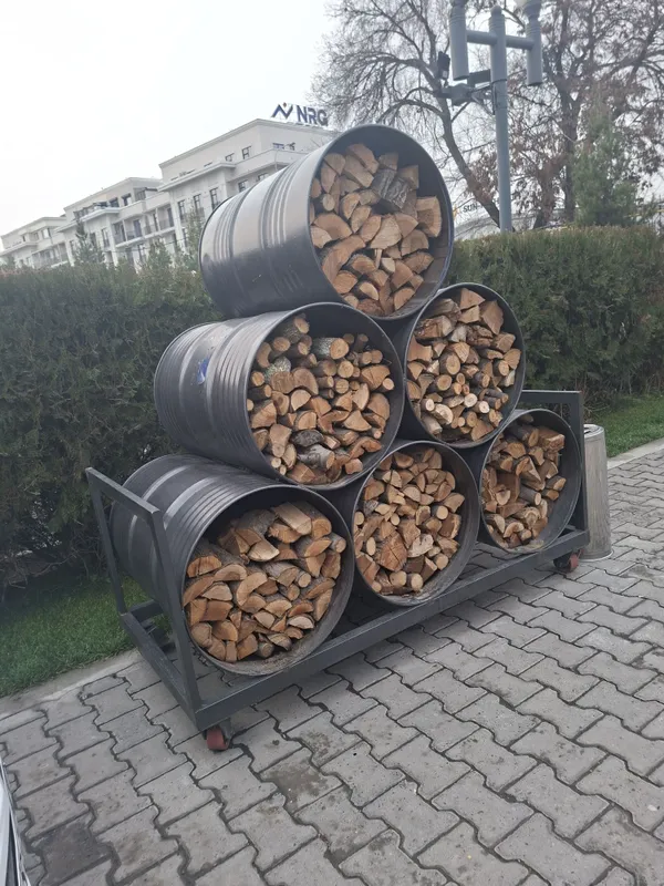Mevali daraxtni o'tini bor cheklamagan miqtorda bor kelishilgan xolda — фото 3