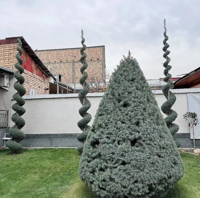 Archa kesish xizmati 4 Archa kesish xizmati 4