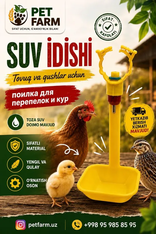Suv İdishi Qushlarga 1 Suv İdishi Qushlarga 1