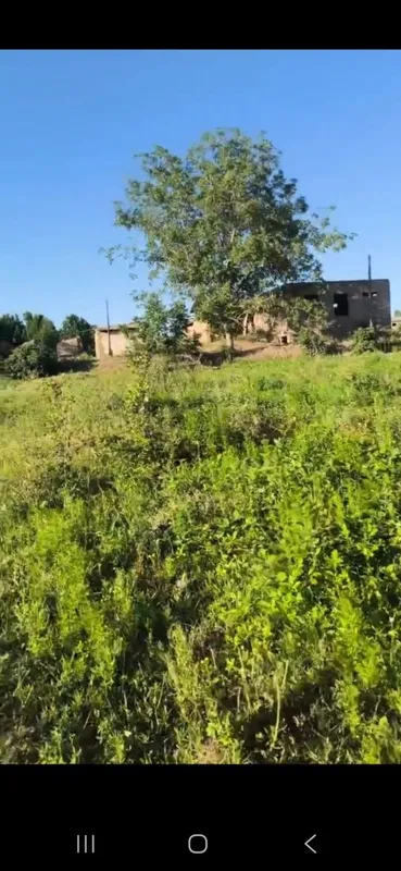 Продается, Земля на ташморе с постройками больше гектара, 124 сотка. 7 Продается, Земля на ташморе с постройками больше гектара, 124 сотка. 7