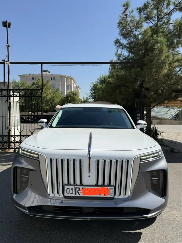 Hongqi E-HS9 | 2023 год 1 Hongqi E-HS9 | 2023 год 1