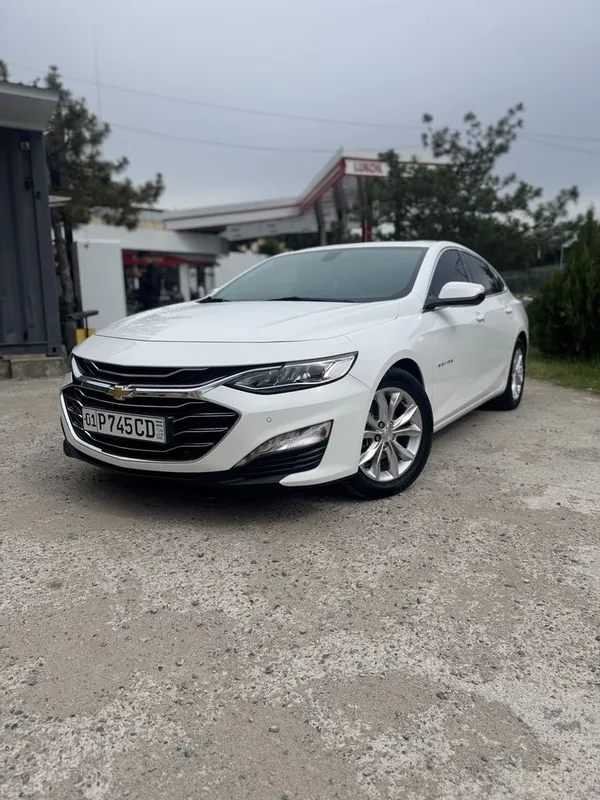 Arenda Malibu 2 Toza premier