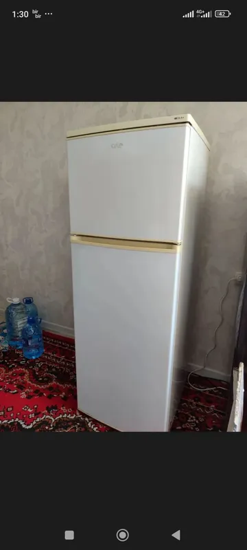 muzlatgich 1 muzlatgich 1