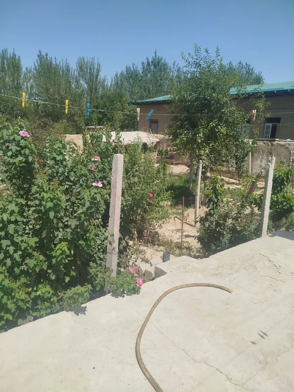 Срочно Ховли уй сотилади беш сотук камолот махалласида. 500 кв. м учас 1 Срочно Ховли уй сотилади беш сотук камолот махалласида. 500 кв. м учас 1