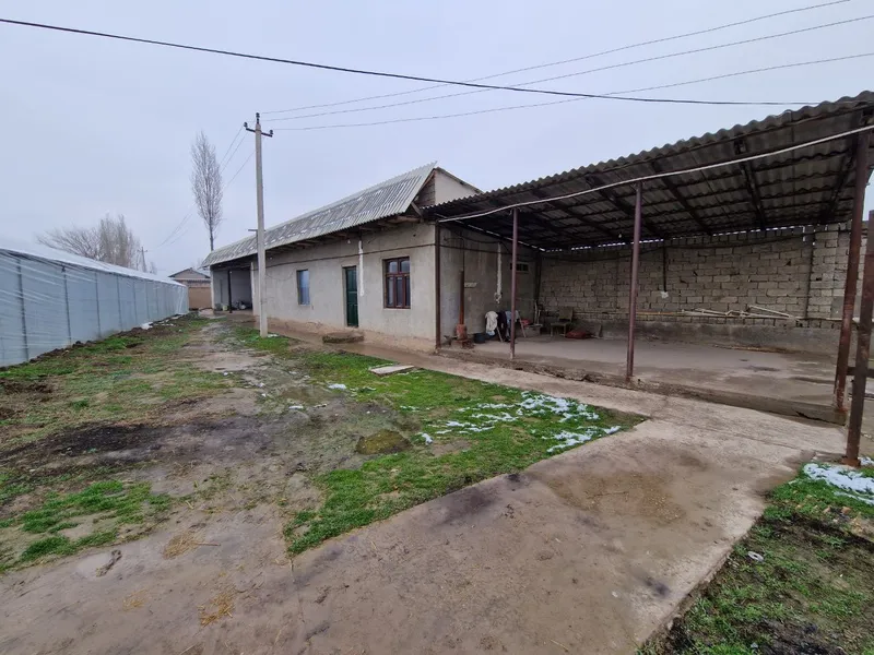 Участок с теплицей