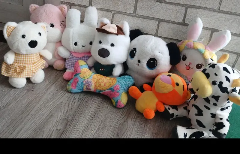 Yumshoq õyinchoqlar tõplami