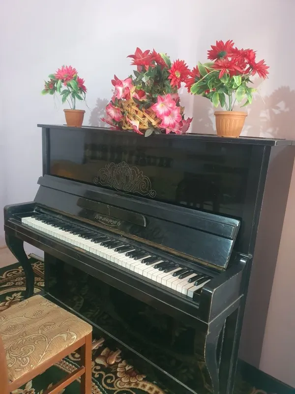 Piyanina sotiladi 200$ kamo bor