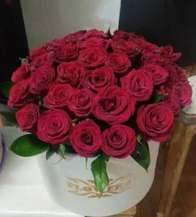 lentali gul