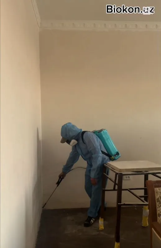 Dezenfeksiya xizmati Biokon.uz ishonchli samarali yechim Dezenfeksiya xizmati Biokon.uz ishonchli samarali yechim