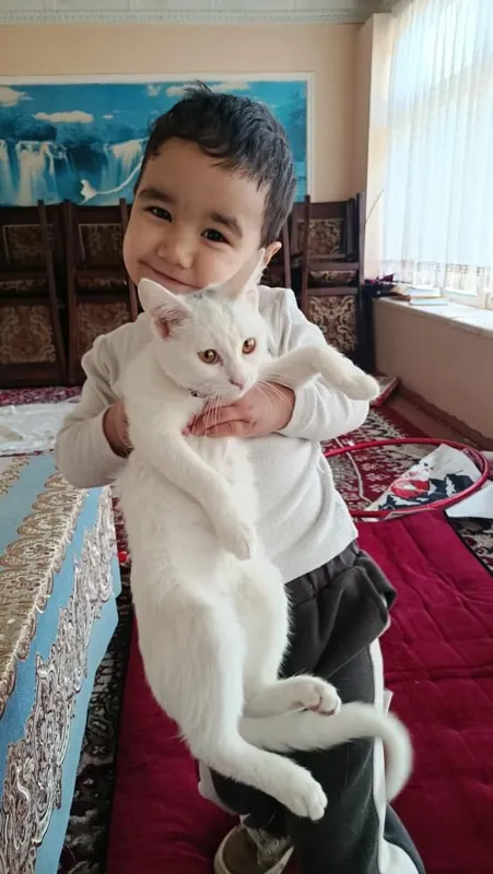 Мушукча сотилади