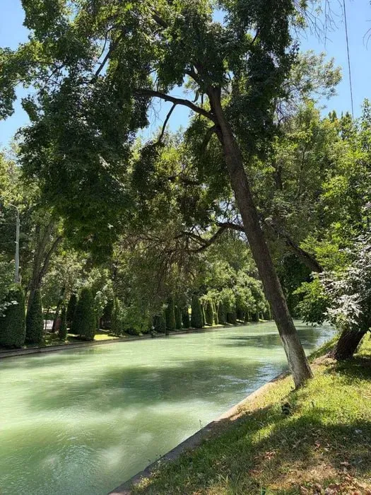 Markazda 2 xonali kvartira ijaraga beriladi 9