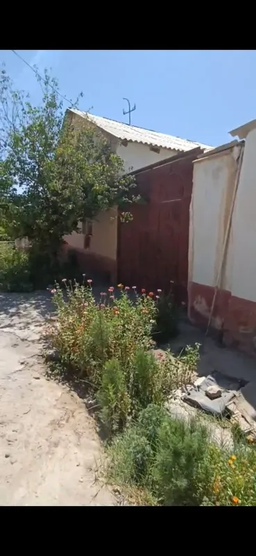 Навоий шахар. Нарпай центрда срочно ховли сотилади барча кулайликларга