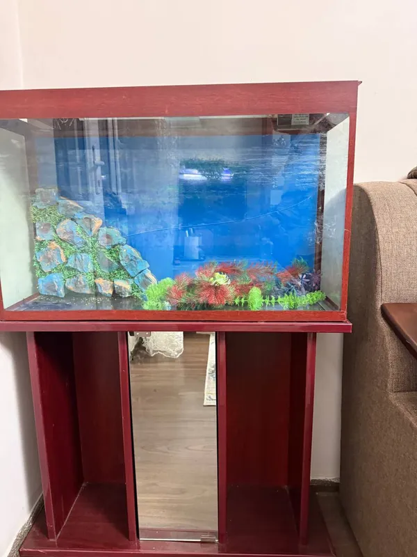 akvarium sotiladi 4