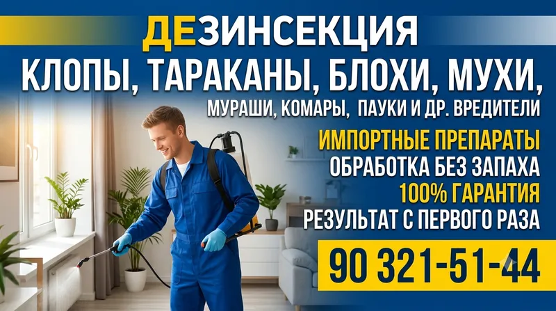 Профессиональное уничтожение насекомых.