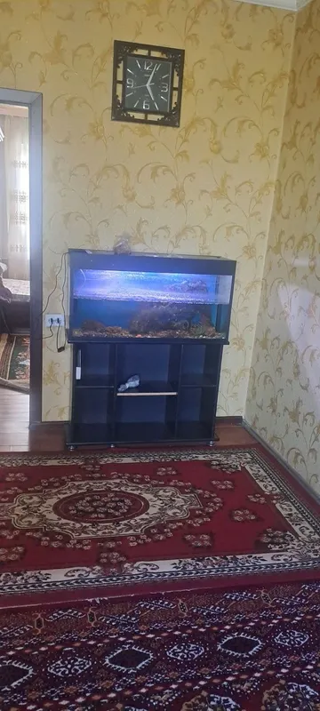 Аркнда! Куйлюк -2 2/4/4 всё есть 300$