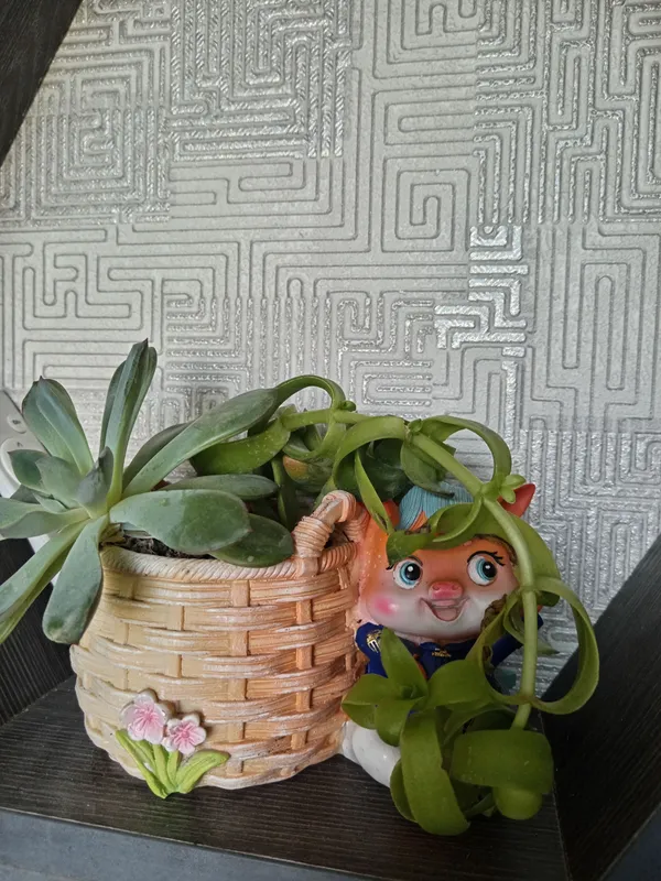 цветы цветы