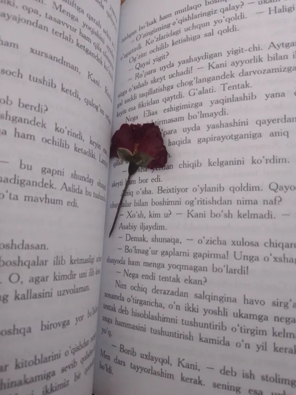 Ты — один мир, я — другой мир (роман) Фея Моран 4 Ты — один мир, я — другой мир (роман) Фея Моран 4