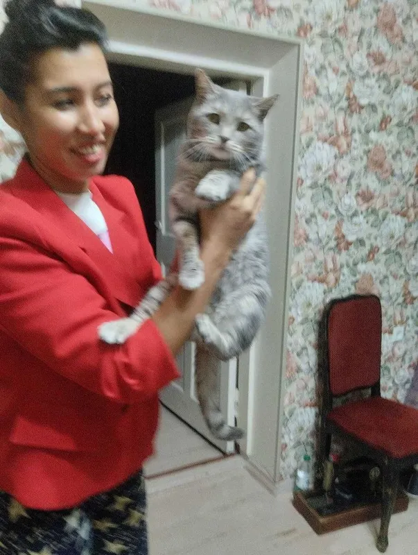 Шикарный покладистый кот пристраивается в добрые руки — фото 1