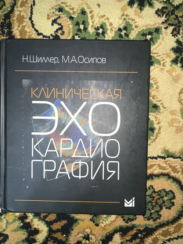 Руководство по ЭХО КГ 1