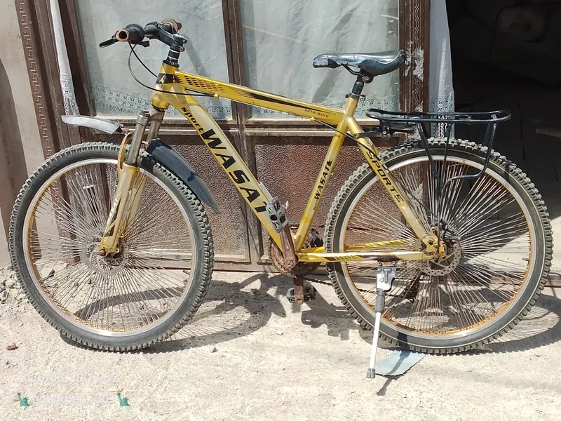 velasapet 26. gold