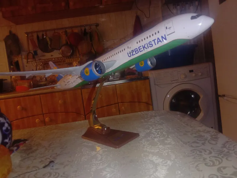 Uzbekistan Airways Boeing 787-8 Dreamliner 3