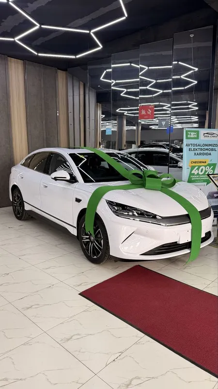 Byd qin L 545 km full dop opsuya