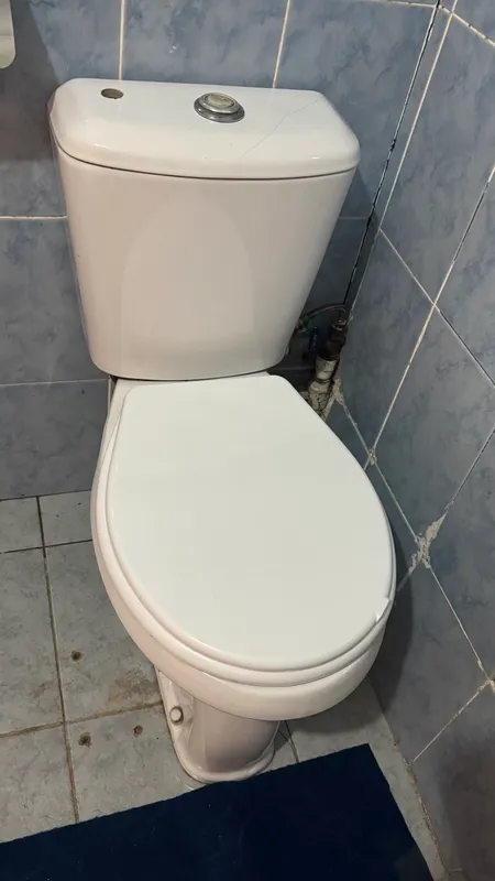 Rakvina Unitaz Smistitellari blan 300min 2