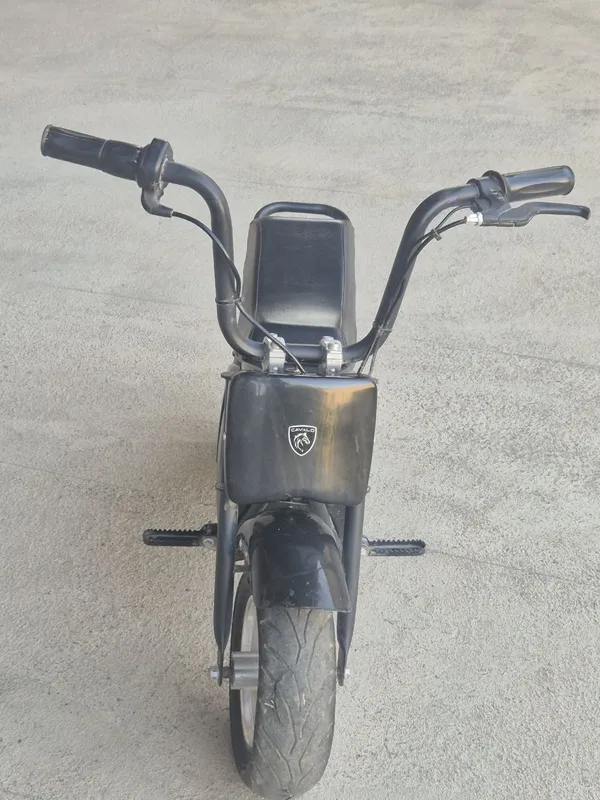 SKUTER cavalo brendi 3