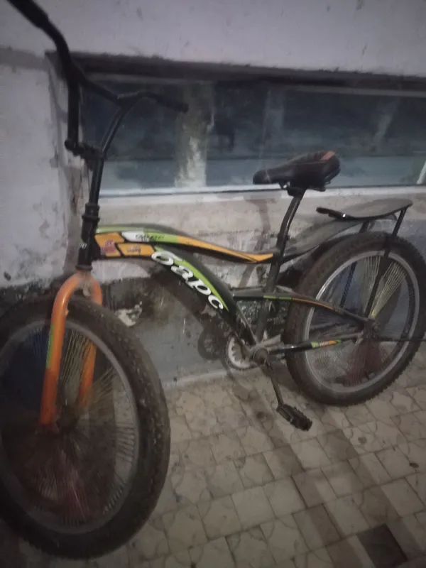 bars velik 24 razmer 1 bars velik 24 razmer 1