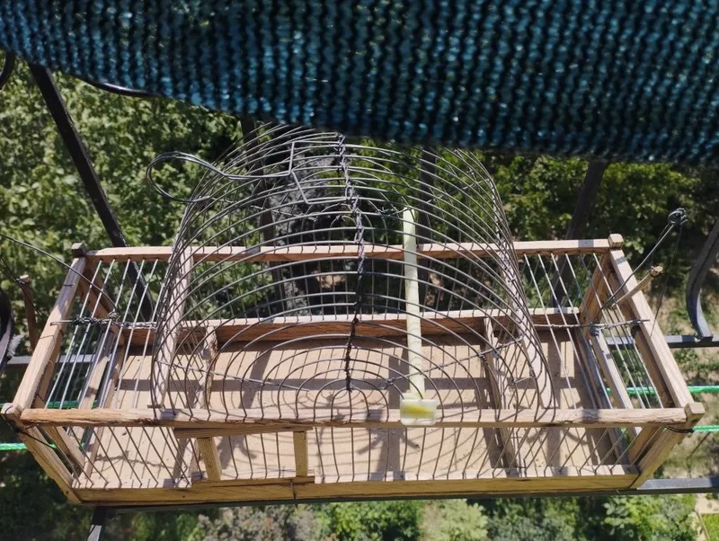 Chertma sotiladi Chertma sotiladi