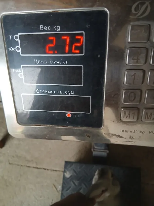 Quyon 2.72kg tozza 2 Quyon 2.72kg tozza 2