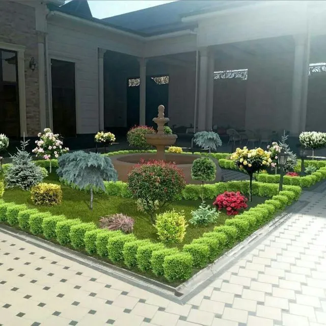 Archa ko‘chatlari xar xil mevali daraxtlar bor