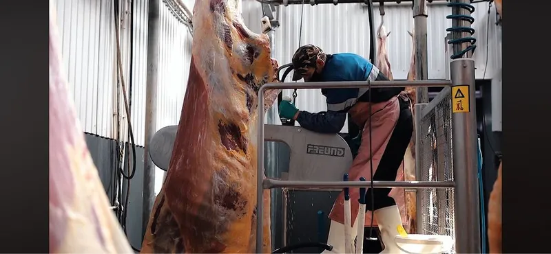 Калбасный цех производственный — фото 1 Калбасный цех производственный — фото 1