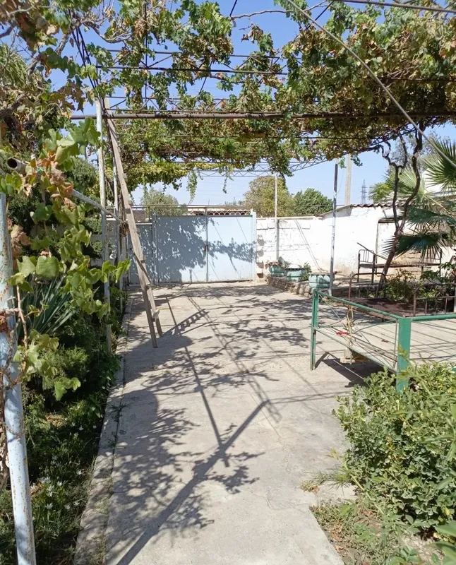 Продаётся дом в Джаркургане 3 Продаётся дом в Джаркургане 3
