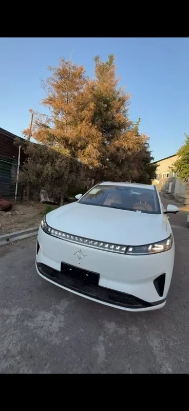 Dong feng 2025 masla 1