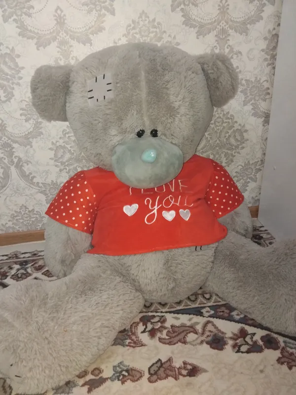 Teddy