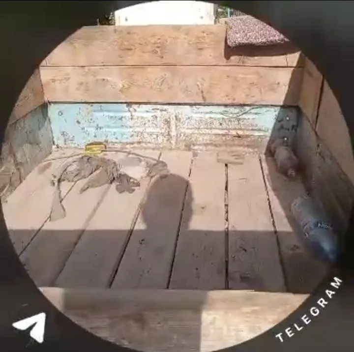 Muravey rasiskiy 3 Muravey rasiskiy 3