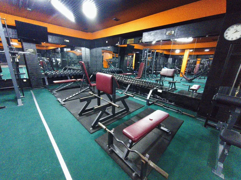 Тренажёрный зал бизнес Шахристан Fitness zal tayyor biznes Shaxriston 3 Тренажёрный зал бизнес Шахристан Fitness zal tayyor biznes Shaxriston 3