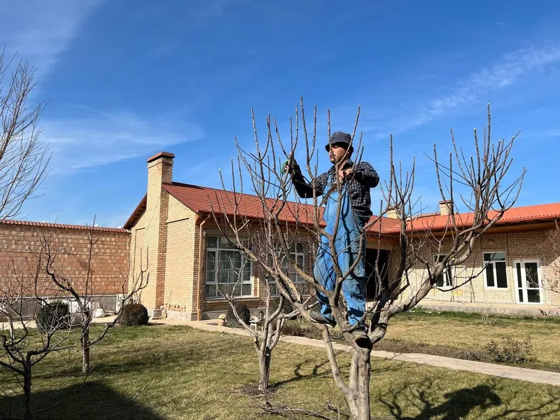 Богбон Садовник ,Gardener 4 Богбон Садовник ,Gardener 4