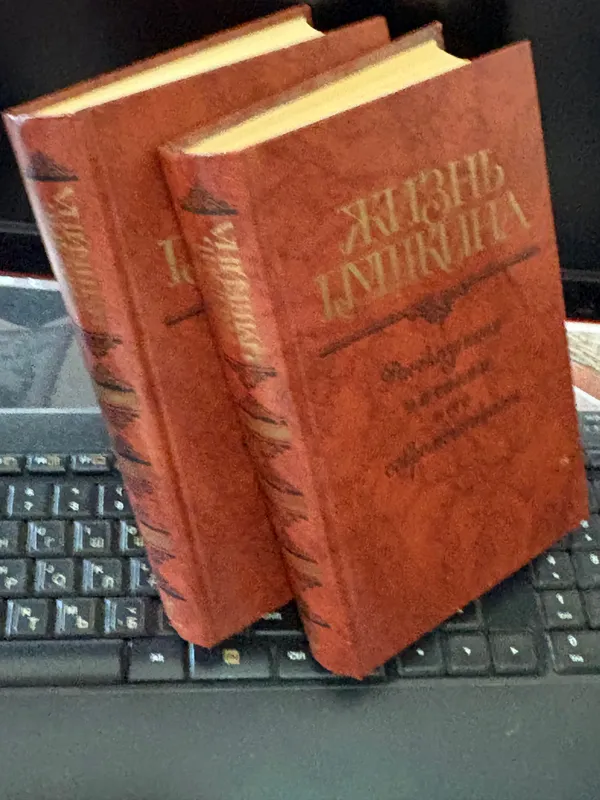 Жизнь Пушкина. В двух томах. 2