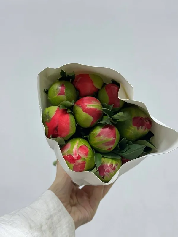 Пионы - новая поставка!!! — фото 2